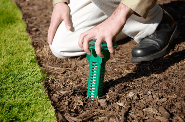 DIY Termite Control Methods