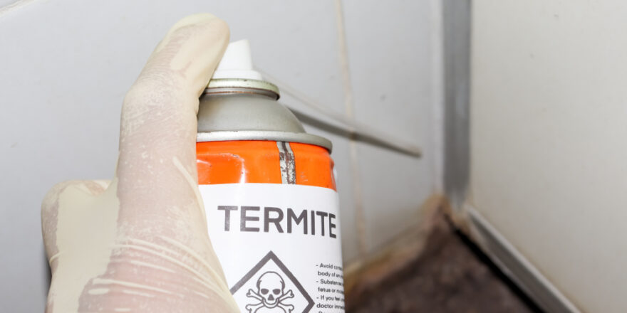 Professional Termite Treatments