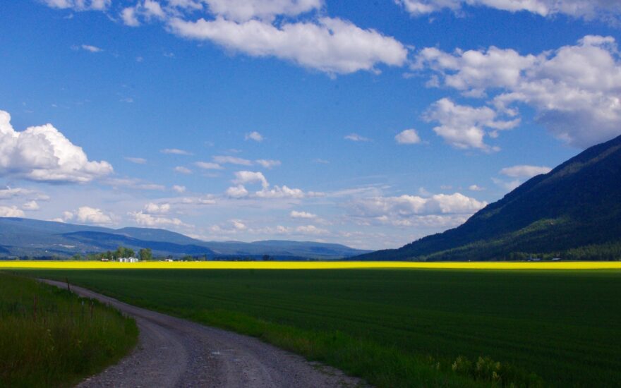 spring in kootenai valley