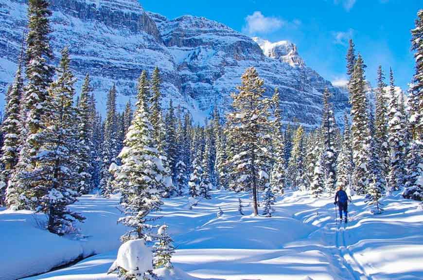 winter in Kootenai Valley